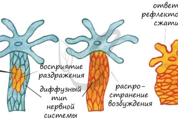 Ссылка на кракен в тор браузере kr2web in